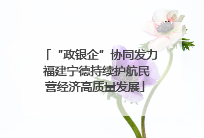 “政银企”协同发力 福建宁德持续护航民营经济高质量发展